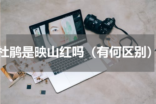 杜鹃是映山红吗（有何区别）