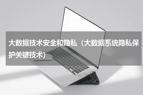 大数据技术安全和隐私（大数据系统隐私保护关键技术）