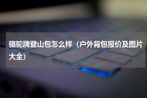 骆驼牌登山包怎么样（户外背包报价及图片大全）