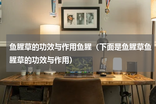 鱼腥草的功效与作用鱼腥（下面是鱼腥草鱼腥草的功效与作用）