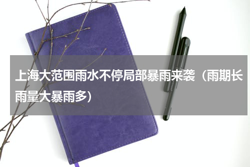 上海大范围雨水不停局部暴雨来袭（雨期长雨量大暴雨多）