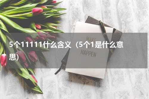 5个11111什么含义（5个1是什么意思）