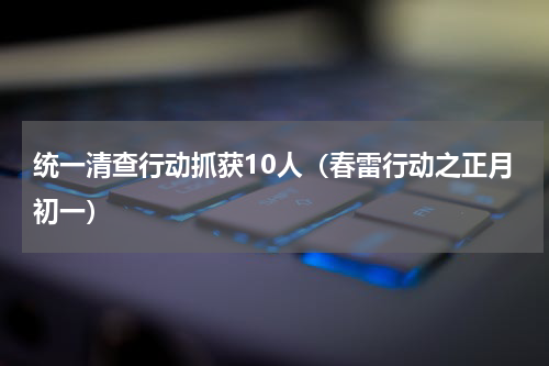 统一清查行动抓获10人（春雷行动之正月初一）