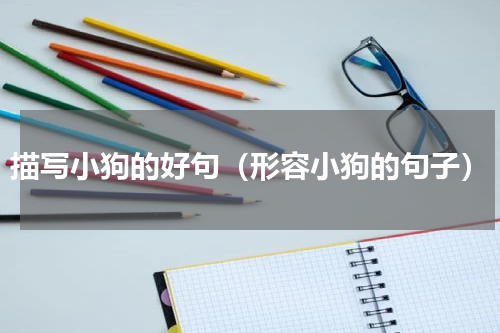 描写小狗的好句（形容小狗的句子）