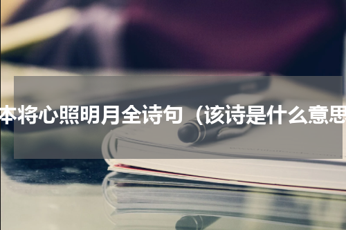 我本将心照明月全诗句（该诗是什么意思）