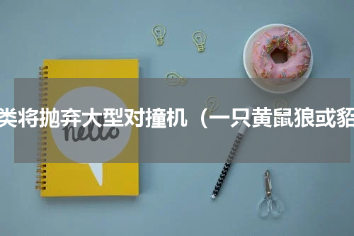 人类将抛弃大型对撞机（一只黄鼠狼或貂）