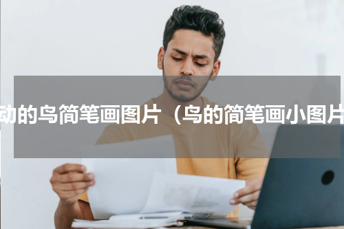会动的鸟简笔画图片（鸟的简笔画小图片）