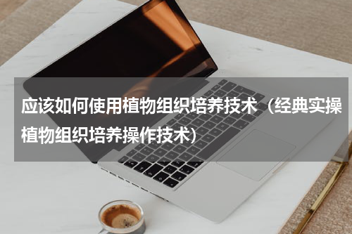 应该如何使用植物组织培养技术（经典实操植物组织培养操作技术）