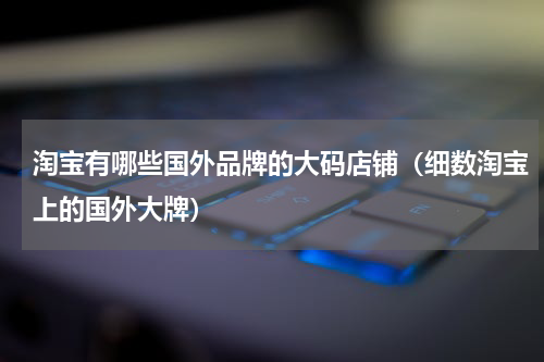 淘宝有哪些国外品牌的大码店铺（细数淘宝上的国外大牌）