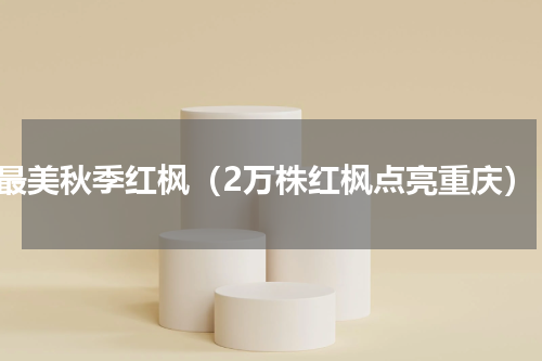 最美秋季红枫（2万株红枫点亮重庆）
