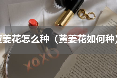 黄姜花怎么种（黄姜花如何种）