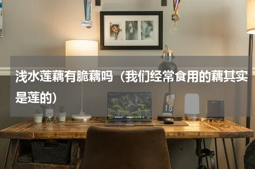 浅水莲藕有脆藕吗（我们经常食用的藕其实是莲的）