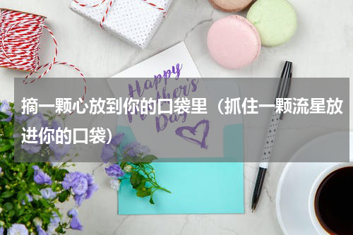 摘一颗心放到你的口袋里（抓住一颗流星放进你的口袋）