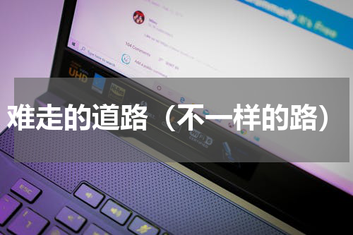 难走的道路（不一样的路）