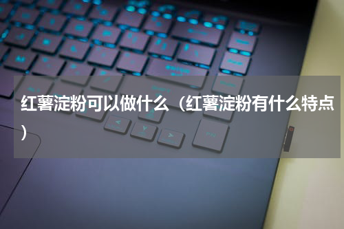 红薯淀粉可以做什么（红薯淀粉有什么特点）