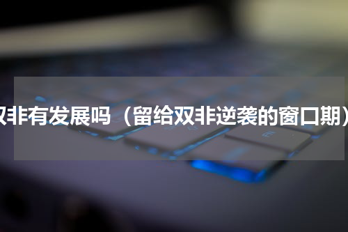 双非有发展吗（留给双非逆袭的窗口期）
