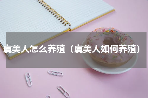 虞美人怎么养殖（虞美人如何养殖）