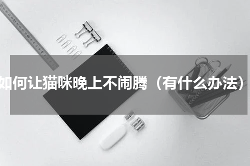 如何让猫咪晚上不闹腾（有什么办法）
