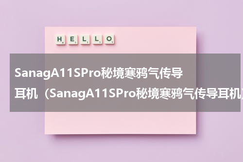 SanagA11SPro秘境寒鸦气传导耳机（SanagA11SPro秘境寒鸦气传导耳机）