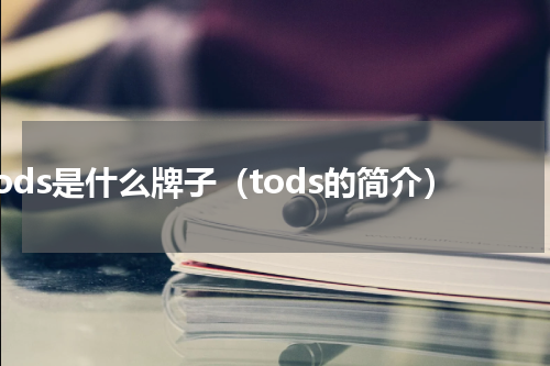 tods是什么牌子（tods的简介）