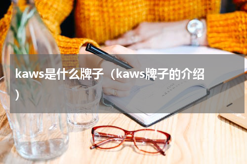 kaws是什么牌子（kaws牌子的介绍）