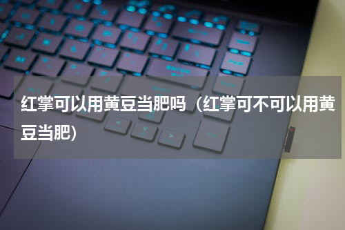 红掌可以用黄豆当肥吗（红掌可不可以用黄豆当肥）