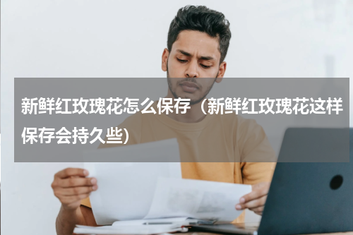 新鲜红玫瑰花怎么保存（新鲜红玫瑰花这样保存会持久些）