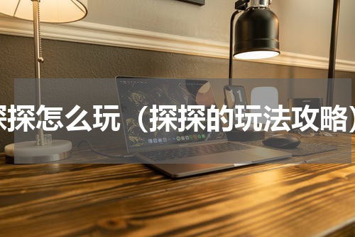 探探怎么玩（探探的玩法攻略）