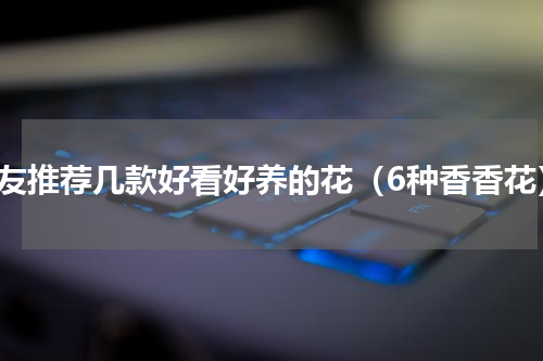 花友推荐几款好看好养的花（6种香香花）