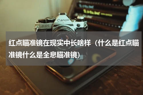 红点瞄准镜在现实中长啥样（什么是红点瞄准镜什么是全息瞄准镜）