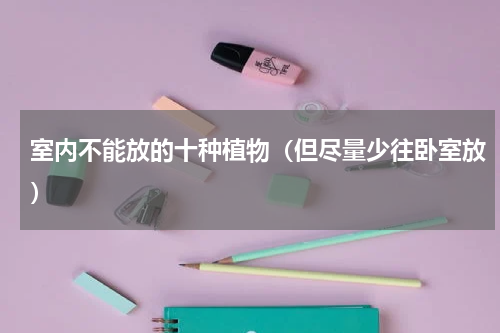 室内不能放的十种植物（但尽量少往卧室放）