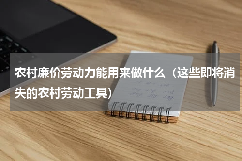 农村廉价劳动力能用来做什么（这些即将消失的农村劳动工具）