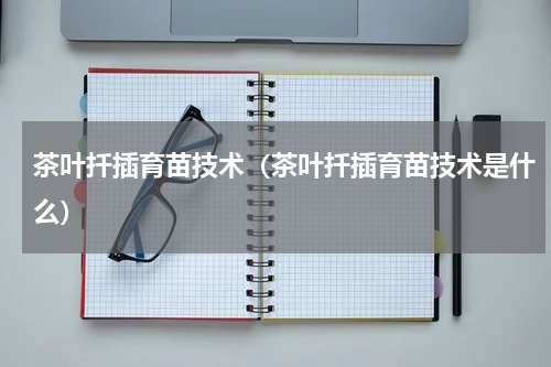 茶叶扦插育苗技术（茶叶扦插育苗技术是什么）
