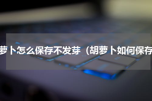 胡萝卜怎么保存不发芽（胡萝卜如何保存）