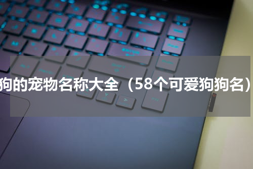 狗狗的宠物名称大全（58个可爱狗狗名）