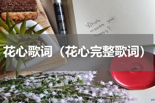 花心歌词（花心完整歌词）