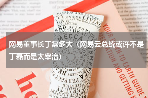 网易董事长丁磊多大（网易云总统或许不是丁磊而是太宰治）