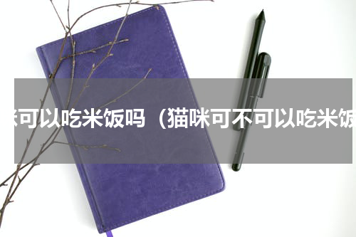 猫咪可以吃米饭吗（猫咪可不可以吃米饭）
