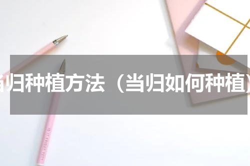 当归种植方法（当归如何种植）