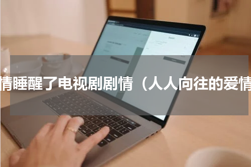 爱情睡醒了电视剧剧情（人人向往的爱情）