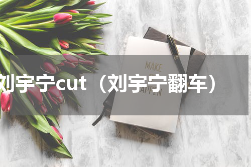 刘宇宁cut（刘宇宁翻车）