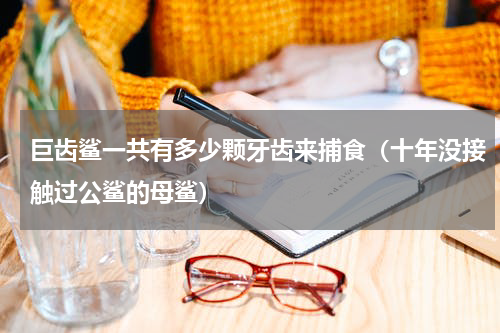 巨齿鲨一共有多少颗牙齿来捕食（十年没接触过公鲨的母鲨）