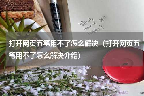 打开网页五笔用不了怎么解决（打开网页五笔用不了怎么解决介绍）