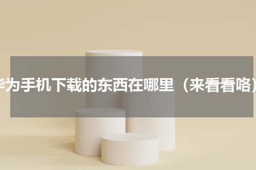 华为手机下载的东西在哪里（来看看咯）