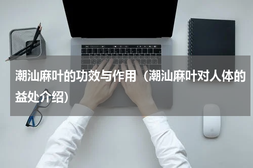潮汕麻叶的功效与作用（潮汕麻叶对人体的益处介绍）