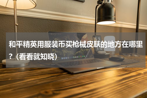 和平精英用服装币买枪械皮肤的地方在哪里?（看看就知晓）