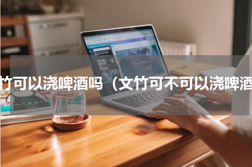 文竹可以浇啤酒吗（文竹可不可以浇啤酒）