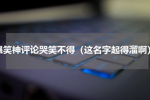 爆笑神评论哭笑不得（这名字起得溜啊）