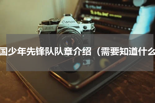 中国少年先锋队队章介绍（需要知道什么）