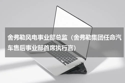 舍弗勒风电事业部总监（舍弗勒集团任命汽车售后事业部首席执行官）